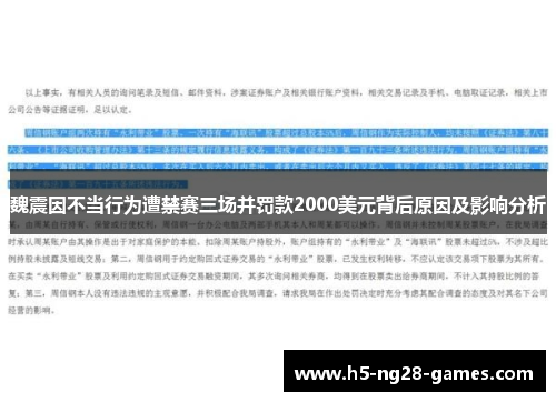 魏震因不当行为遭禁赛三场并罚款2000美元背后原因及影响分析