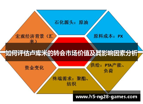 如何评估卢库米的转会市场价值及其影响因素分析
